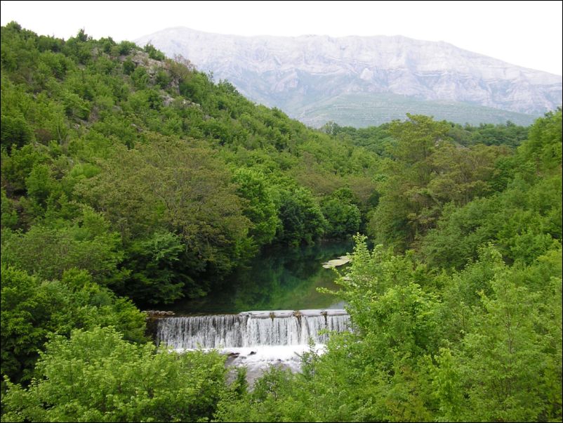 Krcic (29)